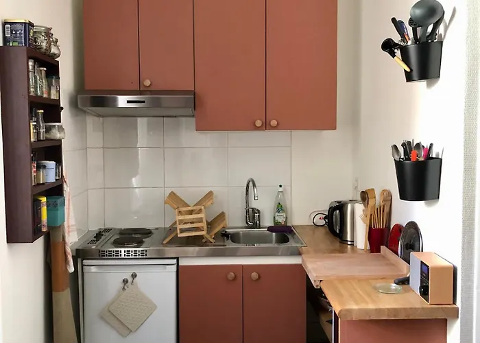 Petit Douillet, Centre Historique De Apartament Dijon