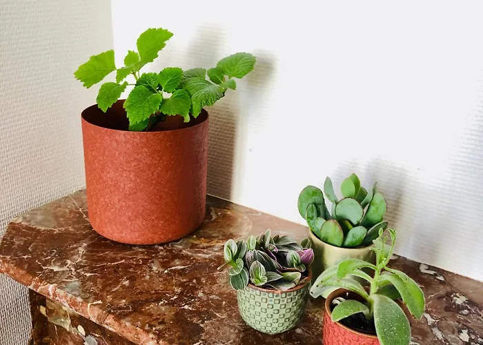 Apartament Petit Douillet, Centre Historique De